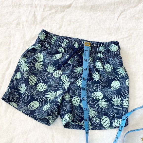 ✨Host Pick✨ Pineapple Print Swim Trunks - Picture 4 of 7